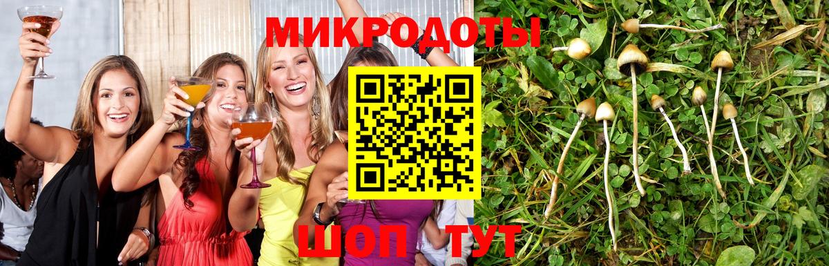 Галлюциногенные грибы MAGIC MUSHROOMS  Вход с VPN  Псилоцибиновые грибы MAGIC MUSHROOMS  Каспийск 